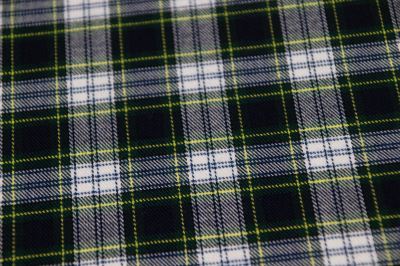 Tartan - skotská kostka - modrá (3)